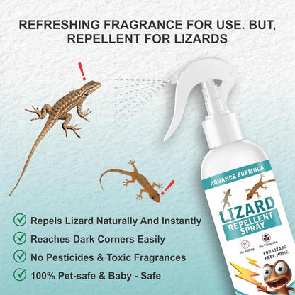 🦎 HerbiGuard™ Lizard Repellent Spray – Buy 1 Get 1 Free 🛍️